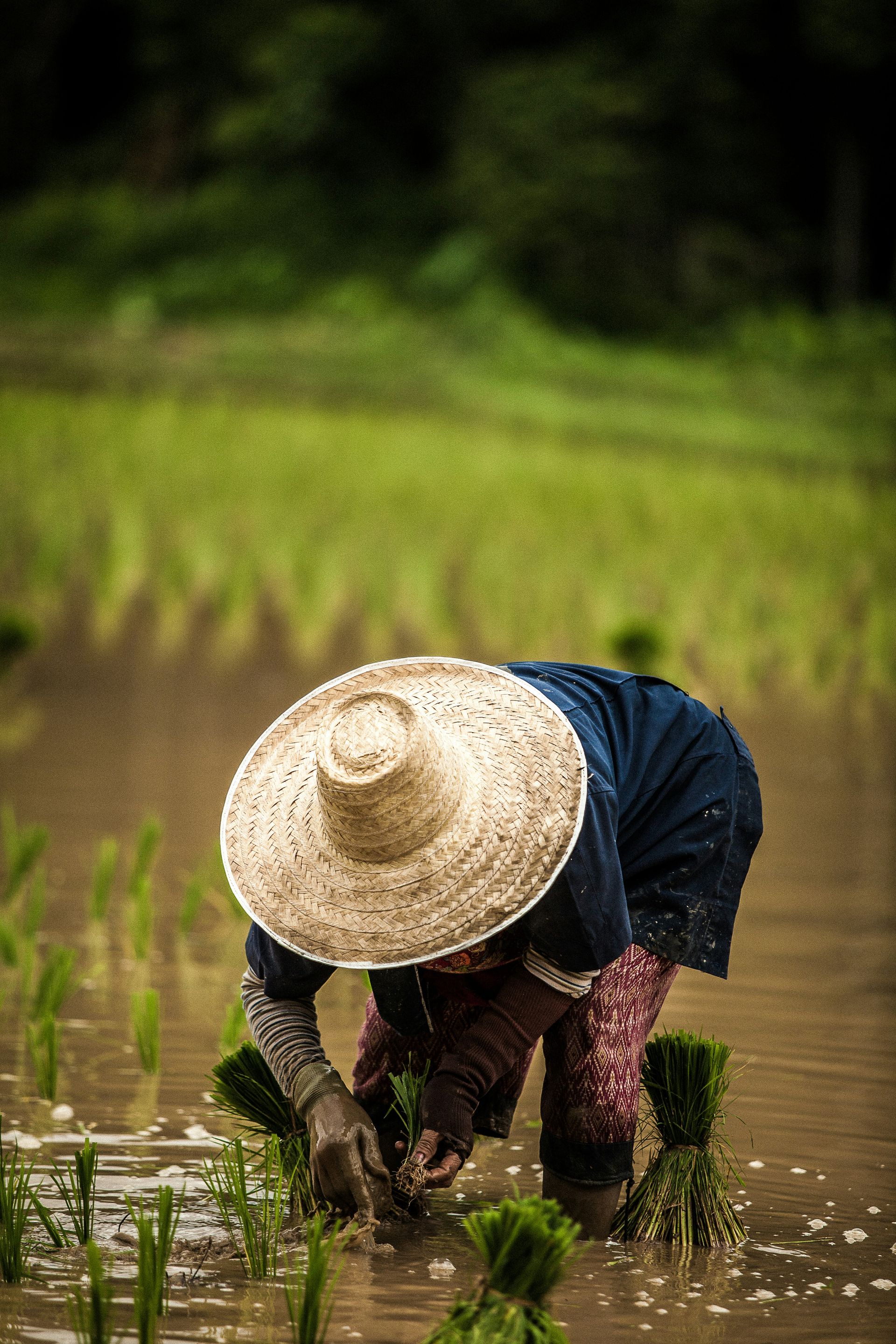 Happy Investors & Farmers